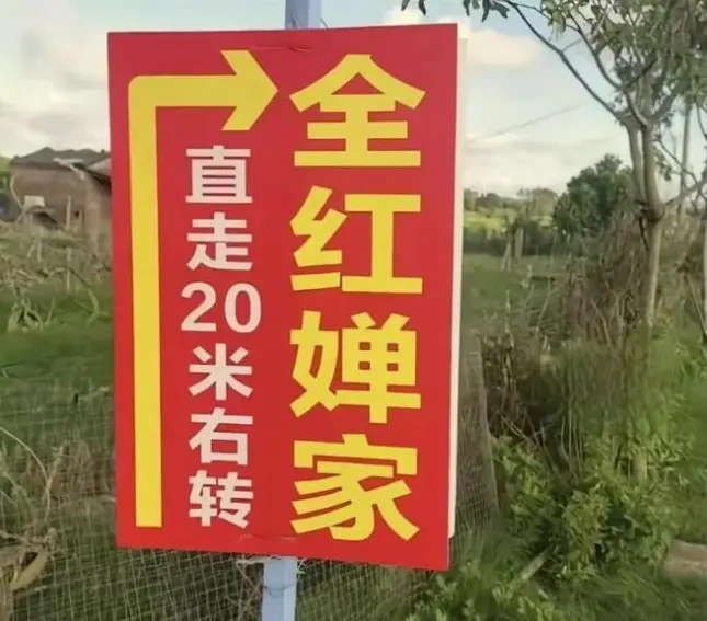 全红婵一家被疯狂围观