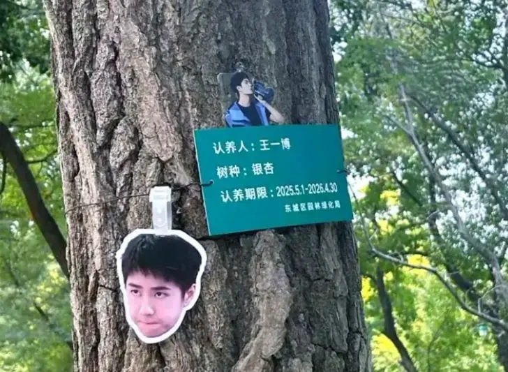 地坛公园禁明星姓名认养树，公共绿地