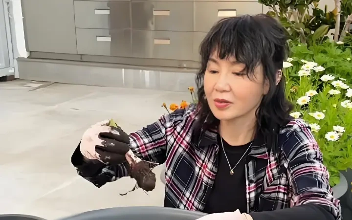 张曼玉近况：香港豪宅种菜，离婚 24 年无儿女