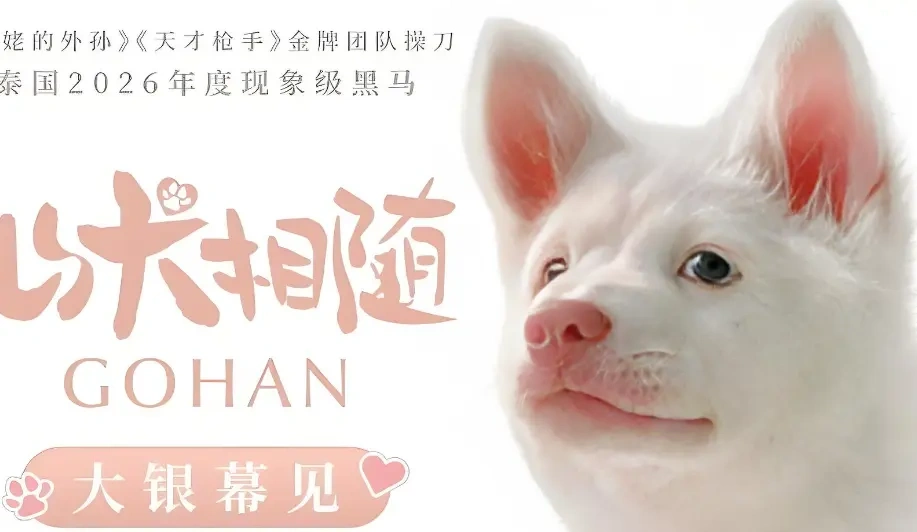 泰国黑马《心犬相随》定档6月26日，拍出《天才枪手》的团队这次改拍狗了