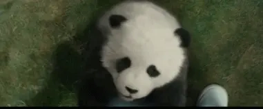 好萌又好笑，控制不住自己想要rua的手！