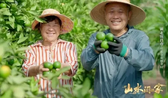 《山水间的家》彰显乡村个性魅力