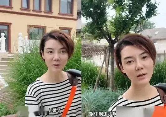 42岁车晓晒独居生活，住别墅在小院爬梯摘苹果