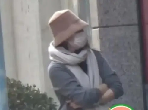 华表奖后章子怡接儿子放学