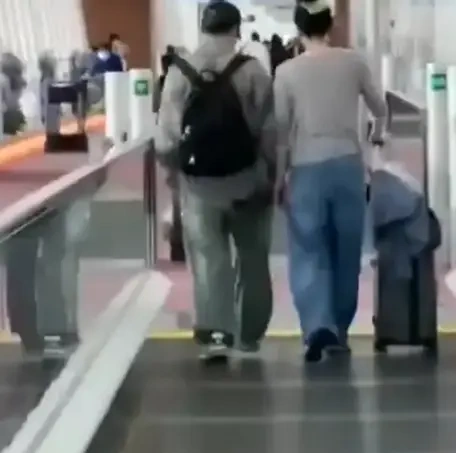 王菲回国为李嫣庆生