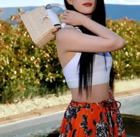 粉丝怒撕Lisa背后使坏
