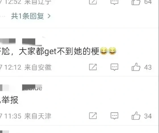 李行亮妻子麦琳上综艺被抵制