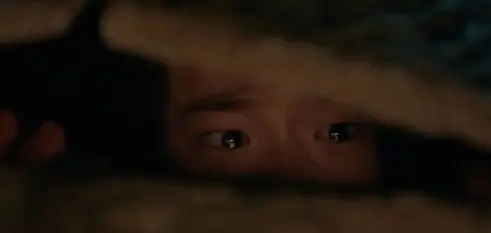 张婧仪第9，肖战第5