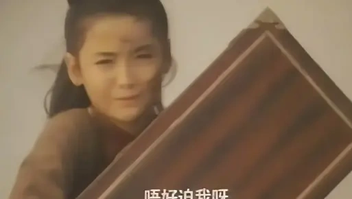 &ldquo;小林青霞&rdquo;董蓉蓉13岁孽债爆红