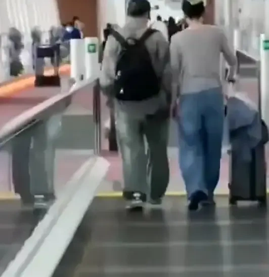 王菲回国为李嫣庆生