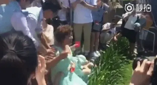 婚闹争议引众怒，柳岩道歉背后的舆论漩涡