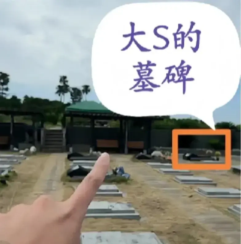网红直播打假，多番爆料难掩争议