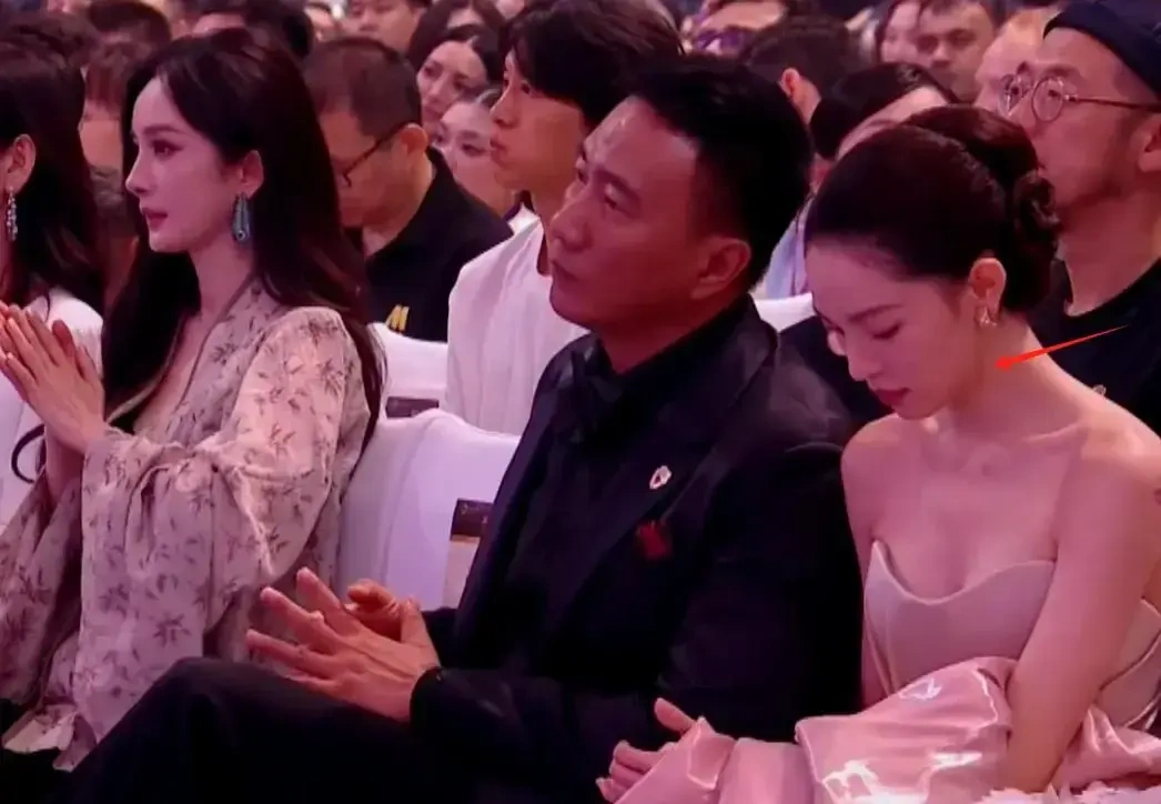 上合电影节明星状态的中年逆袭与小花困境