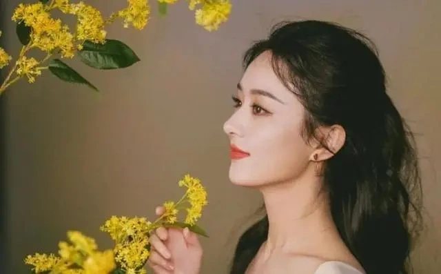 从金鹰女神到为人母，她的流量传奇与情感浮沉