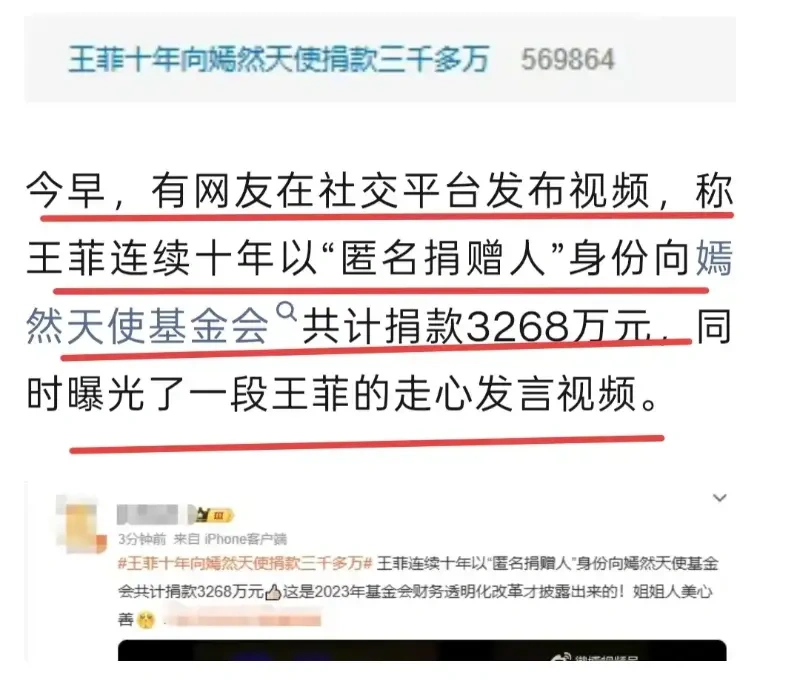 王菲离婚十年捐 3268 万？