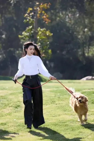 陈丽君草坪遛宠藏不住的松弛感