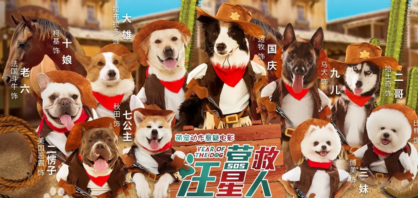 情人节档破圈！