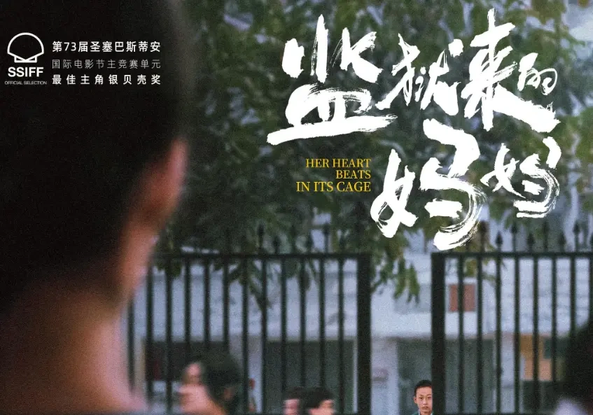 《监狱来的妈妈》报审违规被紧急叫停，全流程问题引发行业震动！