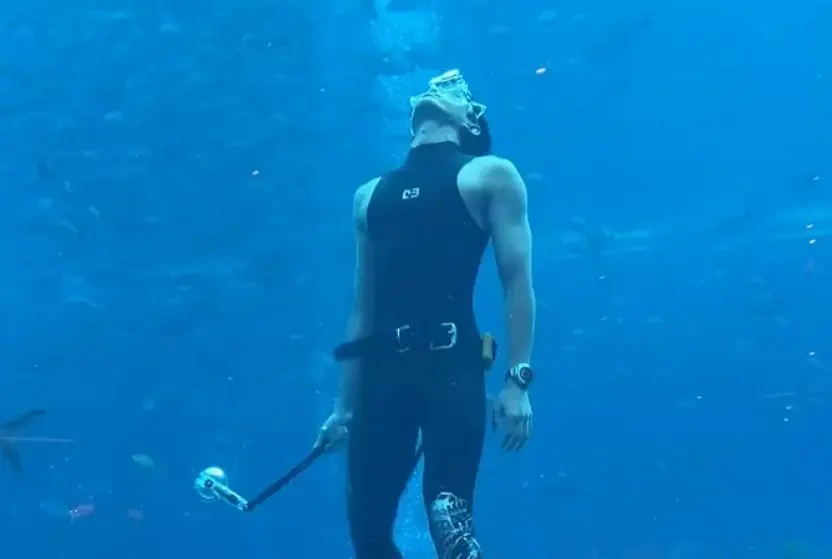 水族馆的男美人鱼竟然是吴磊！素颜下水、畅游喂鱼，反差感刷屏全网